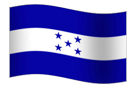 Logo animado